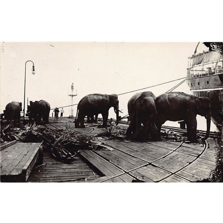 Rare collectable postcards of SINGAPORE. Vintage Postcards of SINGAPORE