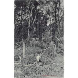 Rare collectable postcards of SINGAPORE. Vintage Postcards of SINGAPORE