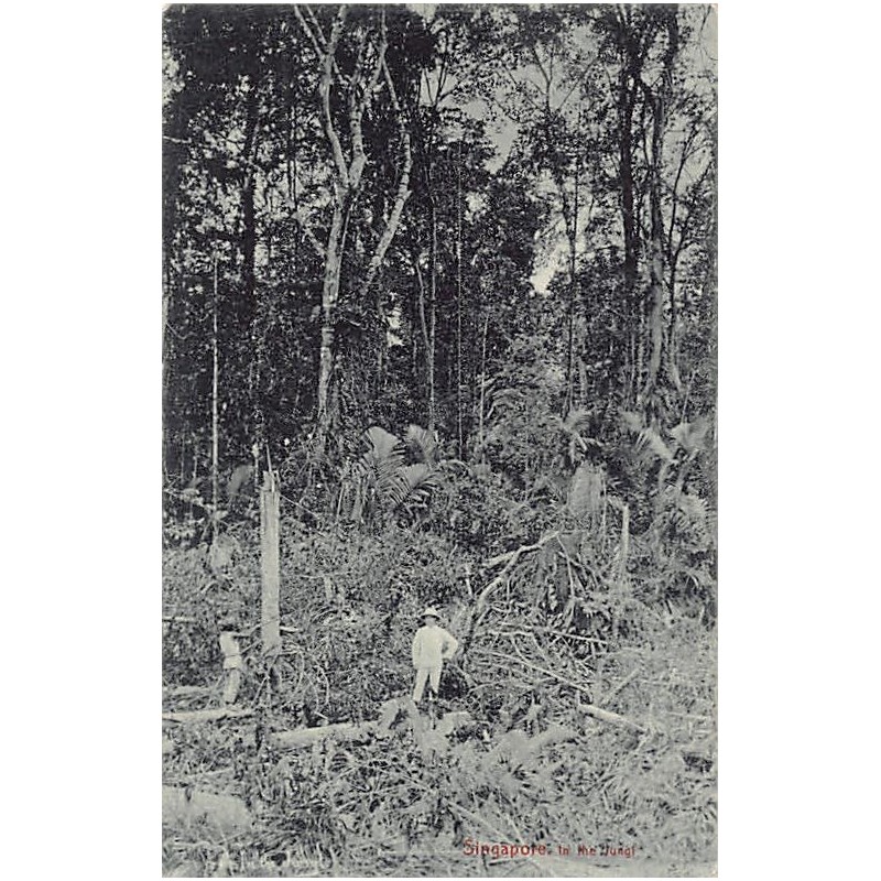 Rare collectable postcards of SINGAPORE. Vintage Postcards of SINGAPORE