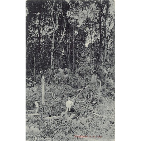 Rare collectable postcards of SINGAPORE. Vintage Postcards of SINGAPORE