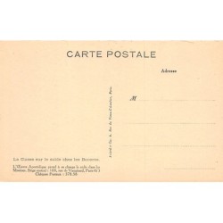 Rare collectable postcards of BRAZIL Brasil. Vintage Postcards of BRAZIL Brasil