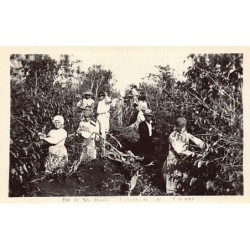 Rare collectable postcards of BRAZIL Brasil. Vintage Postcards of BRAZIL Brasil