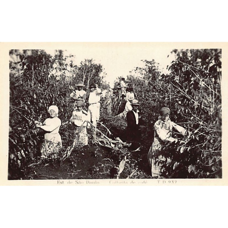 Rare collectable postcards of BRAZIL Brasil. Vintage Postcards of BRAZIL Brasil