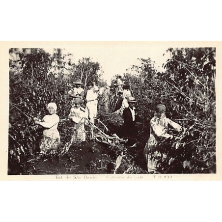 Rare collectable postcards of BRAZIL Brasil. Vintage Postcards of BRAZIL Brasil