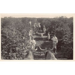 Rare collectable postcards of BRAZIL Brasil. Vintage Postcards of BRAZIL Brasil