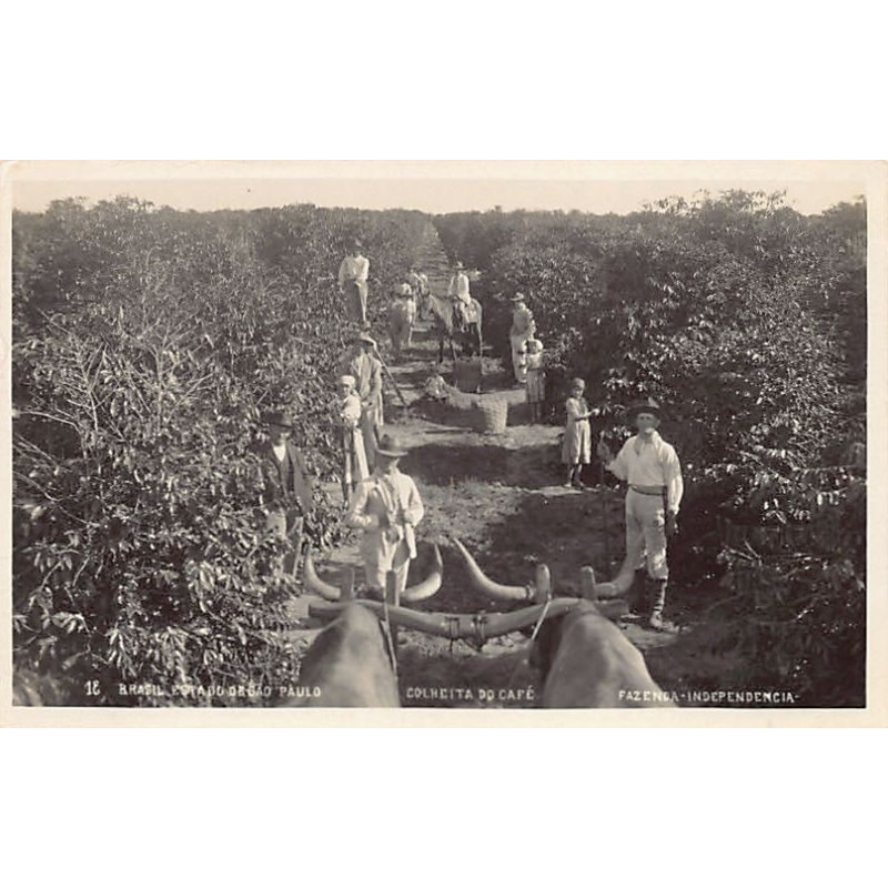 Rare collectable postcards of BRAZIL Brasil. Vintage Postcards of BRAZIL Brasil