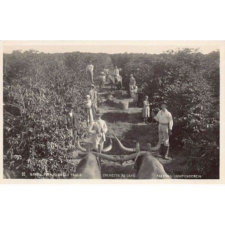 Rare collectable postcards of BRAZIL Brasil. Vintage Postcards of BRAZIL Brasil