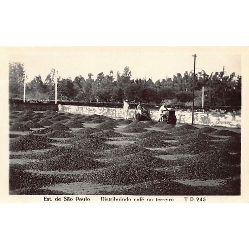 Rare collectable postcards of BRAZIL Brasil. Vintage Postcards of BRAZIL Brasil