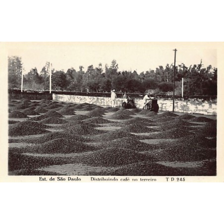 Rare collectable postcards of BRAZIL Brasil. Vintage Postcards of BRAZIL Brasil