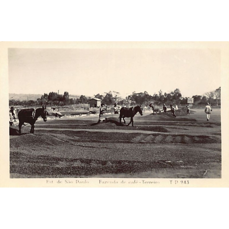 Rare collectable postcards of BRAZIL Brasil. Vintage Postcards of BRAZIL Brasil