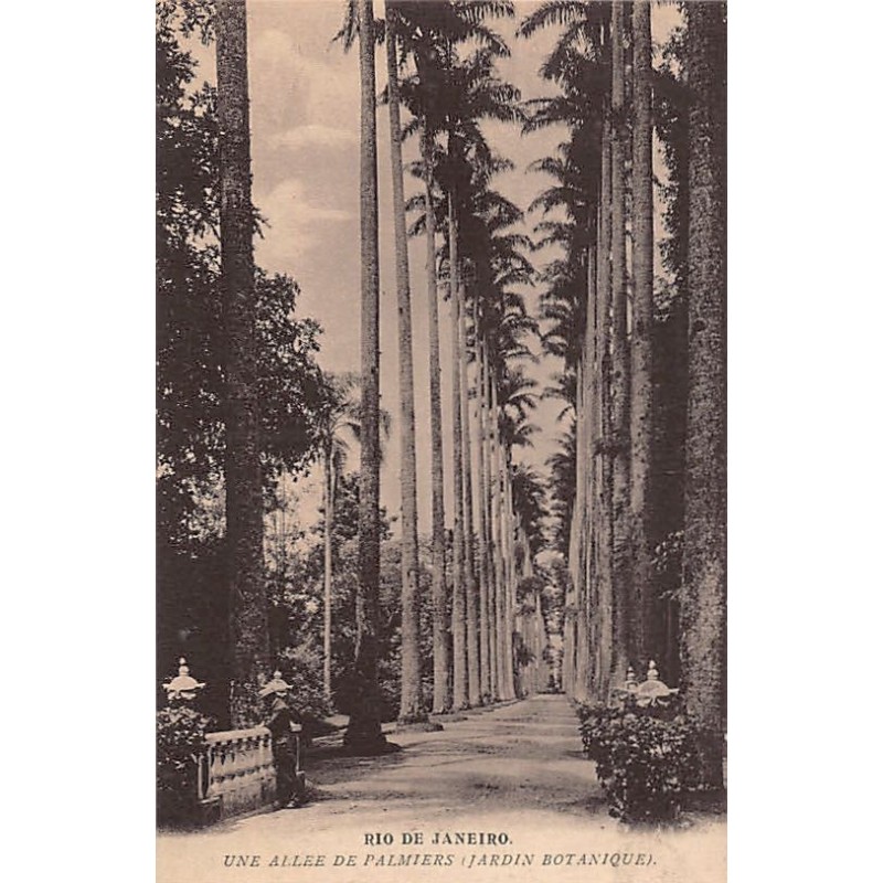 Rare collectable postcards of BRAZIL Brasil. Vintage Postcards of BRAZIL Brasil