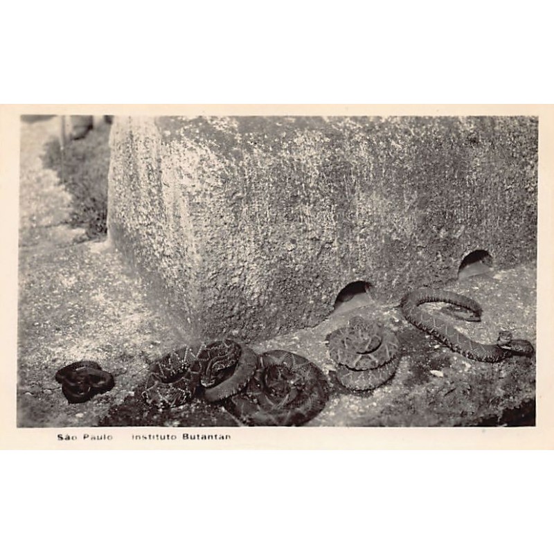 Rare collectable postcards of BRAZIL Brasil. Vintage Postcards of BRAZIL Brasil