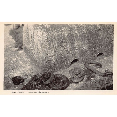 Rare collectable postcards of BRAZIL Brasil. Vintage Postcards of BRAZIL Brasil