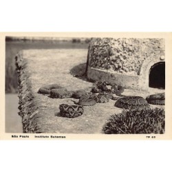 Rare collectable postcards of BRAZIL Brasil. Vintage Postcards of BRAZIL Brasil