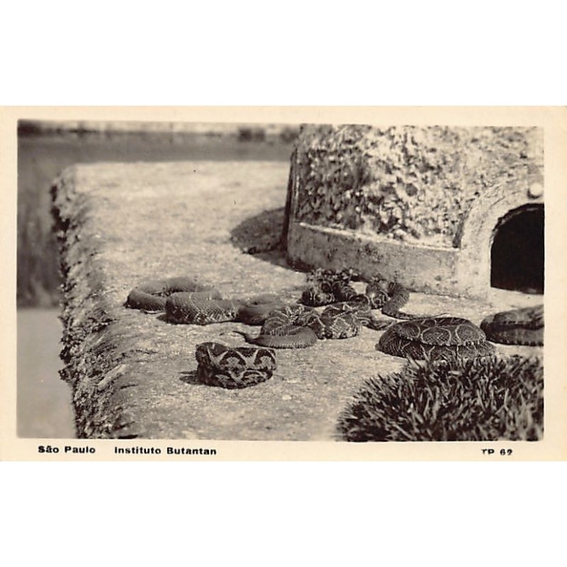 Rare collectable postcards of BRAZIL Brasil. Vintage Postcards of BRAZIL Brasil