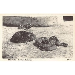 Rare collectable postcards of BRAZIL Brasil. Vintage Postcards of BRAZIL Brasil