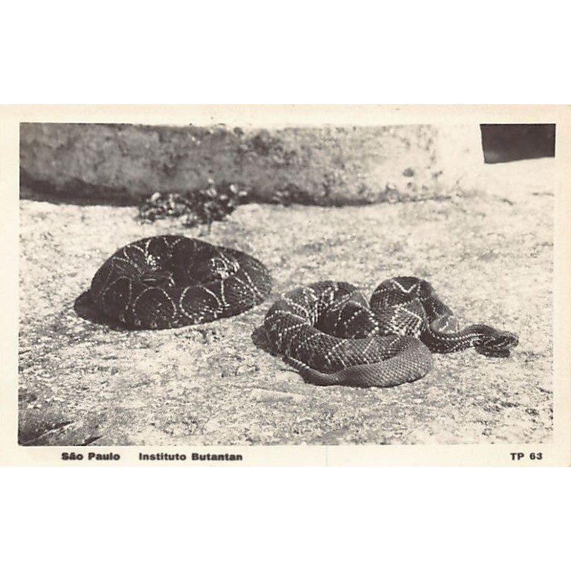 Rare collectable postcards of BRAZIL Brasil. Vintage Postcards of BRAZIL Brasil