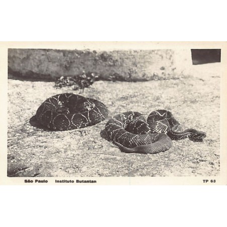 Rare collectable postcards of BRAZIL Brasil. Vintage Postcards of BRAZIL Brasil