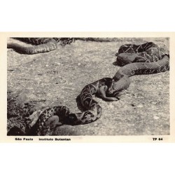 Rare collectable postcards of BRAZIL Brasil. Vintage Postcards of BRAZIL Brasil