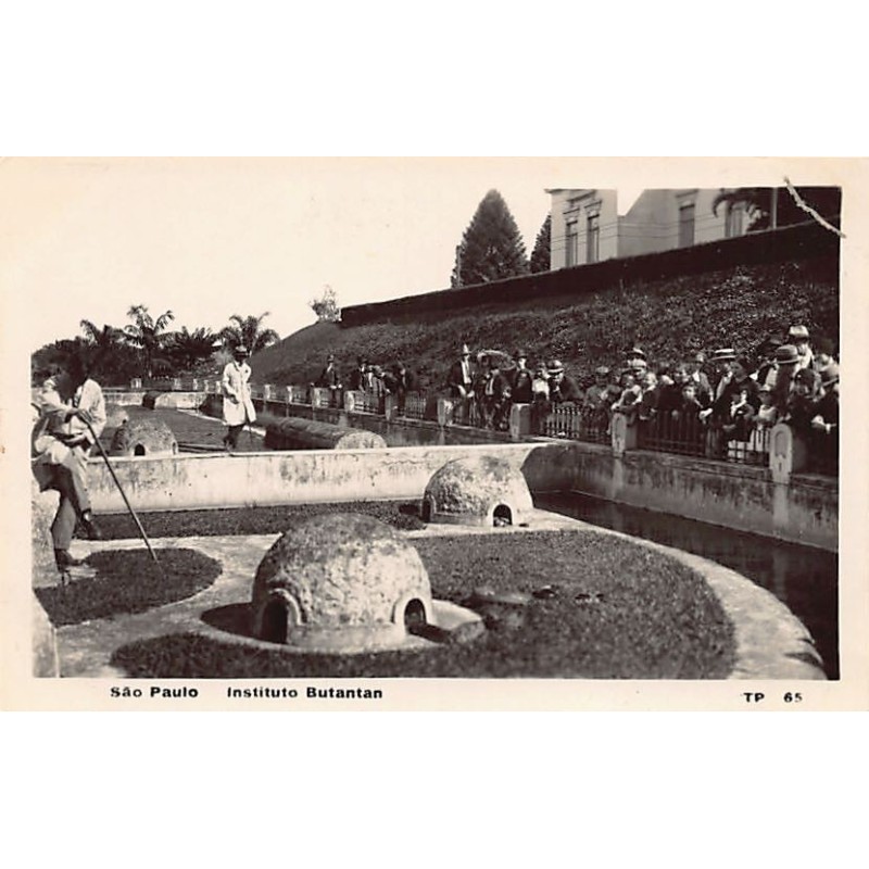 Rare collectable postcards of BRAZIL Brasil. Vintage Postcards of BRAZIL Brasil