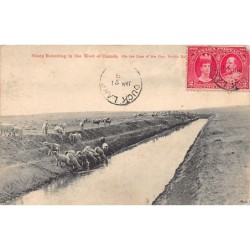 Rare collectable postcards of CANADA. Vintage Postcards of CANADA