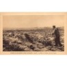 Rare collectable postcards of CANADA. Vintage Postcards of CANADA