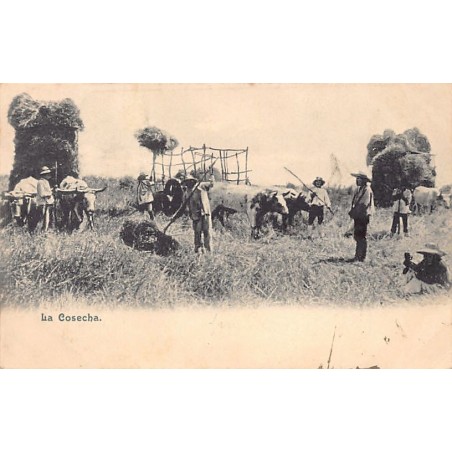 Rare collectable postcards of CHILE. Vintage Postcards of CHILE