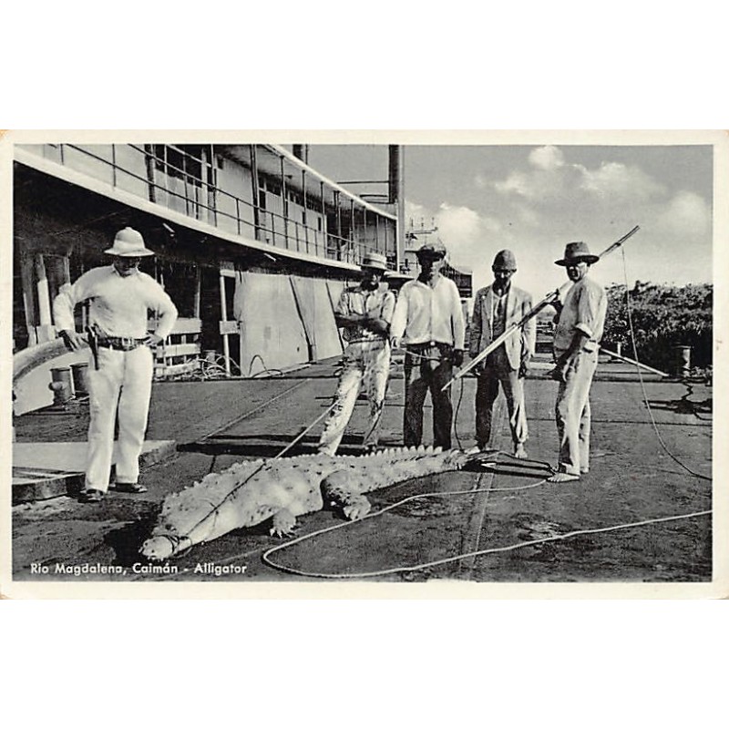 Rare collectable postcards of COLOMBIA. Vintage Postcards of COLOMBIA