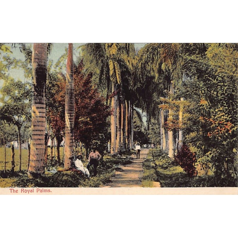 Rare collectable postcards of PANAMA. Vintage Postcards of PANAMA