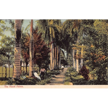 Rare collectable postcards of PANAMA. Vintage Postcards of PANAMA