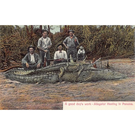 Rare collectable postcards of PANAMA. Vintage Postcards of PANAMA