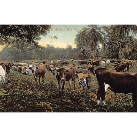 Rare collectable postcards of PANAMA. Vintage Postcards of PANAMA