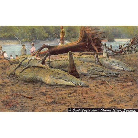 Rare collectable postcards of PANAMA. Vintage Postcards of PANAMA