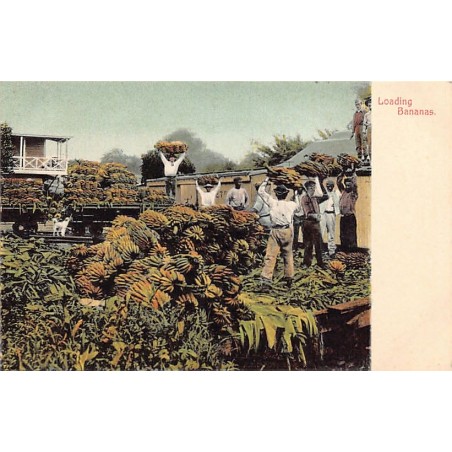 Rare collectable postcards of PANAMA. Vintage Postcards of PANAMA