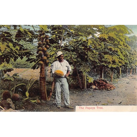 Rare collectable postcards of PANAMA. Vintage Postcards of PANAMA