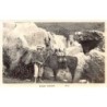 Rare collectable postcards of PERU. Vintage Postcards of PERU