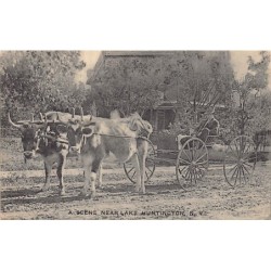 Rare collectable postcards of UNITED STATES OF AMERICA. Vintage Postcards of UNITED STATES OF AMERICA