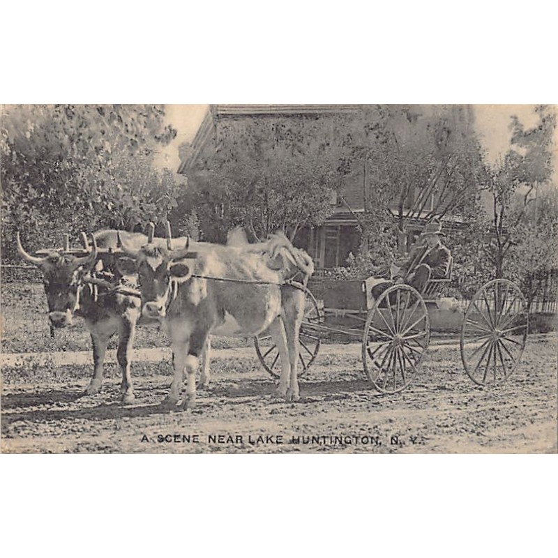 Rare collectable postcards of UNITED STATES OF AMERICA. Vintage Postcards of UNITED STATES OF AMERICA