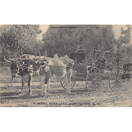 Rare collectable postcards of UNITED STATES OF AMERICA. Vintage Postcards of UNITED STATES OF AMERICA