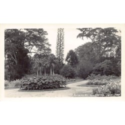 Rare collectable postcards of TRINIDAD & TOBAGO. Vintage Postcards of TRINIDAD & TOBAGO