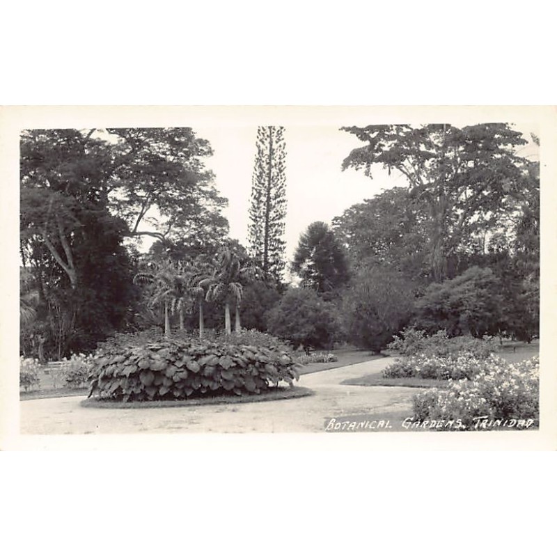 Rare collectable postcards of TRINIDAD & TOBAGO. Vintage Postcards of TRINIDAD & TOBAGO