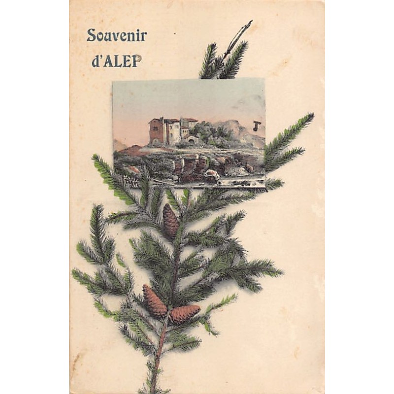 Rare collectable postcards of SYRIA. Vintage Postcards of SYRIA