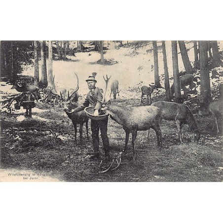 Rare collectable postcards of AUSTRIA Österreich. Vintage Postcards of AUSTRIA Österreich