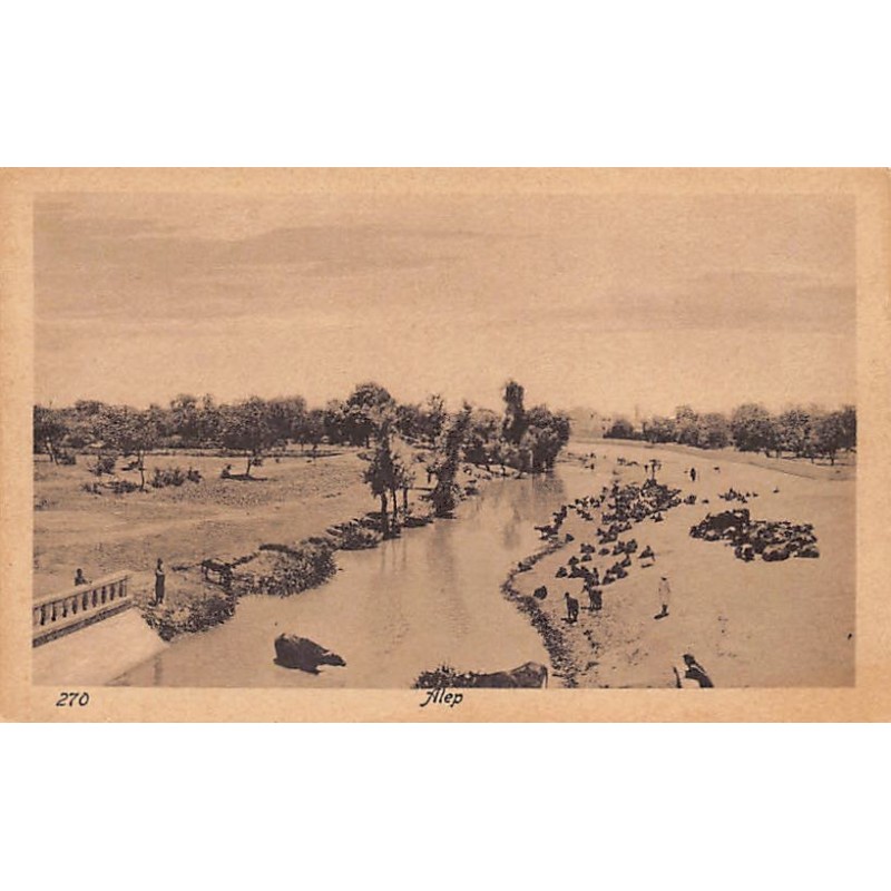 Rare collectable postcards of SYRIA. Vintage Postcards of SYRIA
