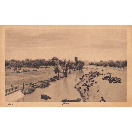 Rare collectable postcards of SYRIA. Vintage Postcards of SYRIA