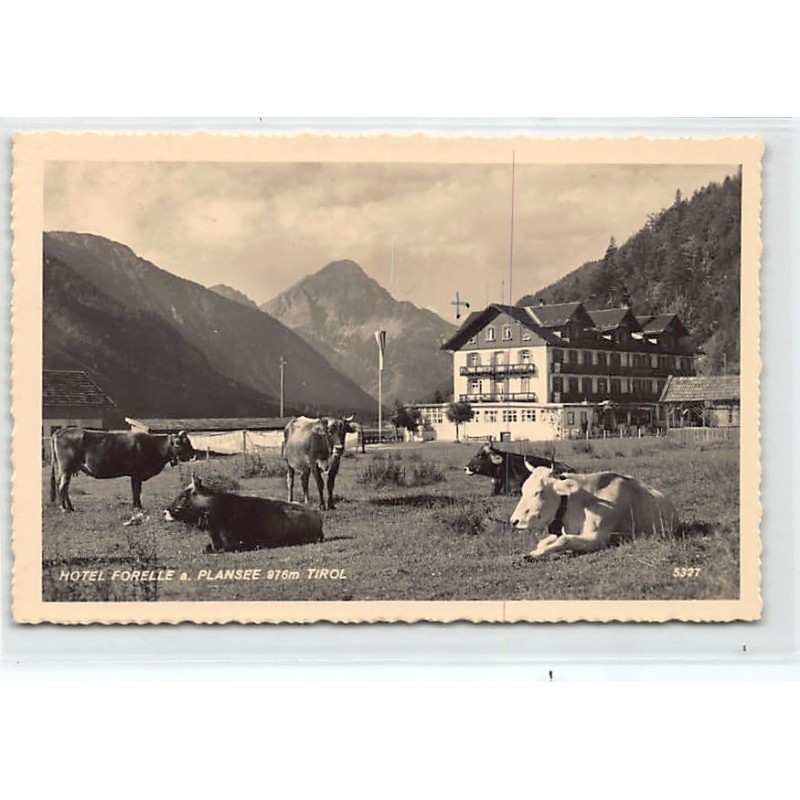 Rare collectable postcards of AUSTRIA Österreich. Vintage Postcards of AUSTRIA Österreich