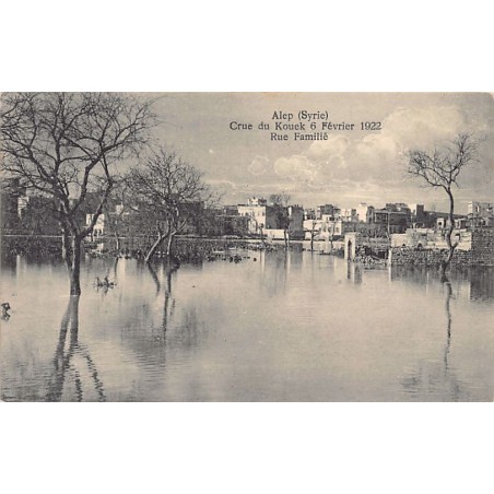Rare collectable postcards of SYRIA. Vintage Postcards of SYRIA