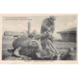 Rare collectable postcards of GREECE. Vintage Postcards of GREECE