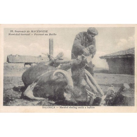 Rare collectable postcards of GREECE. Vintage Postcards of GREECE