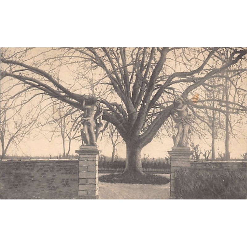 Rare collectable postcards of ITALIA Italy. Vintage Postcards of ITALIA Italy